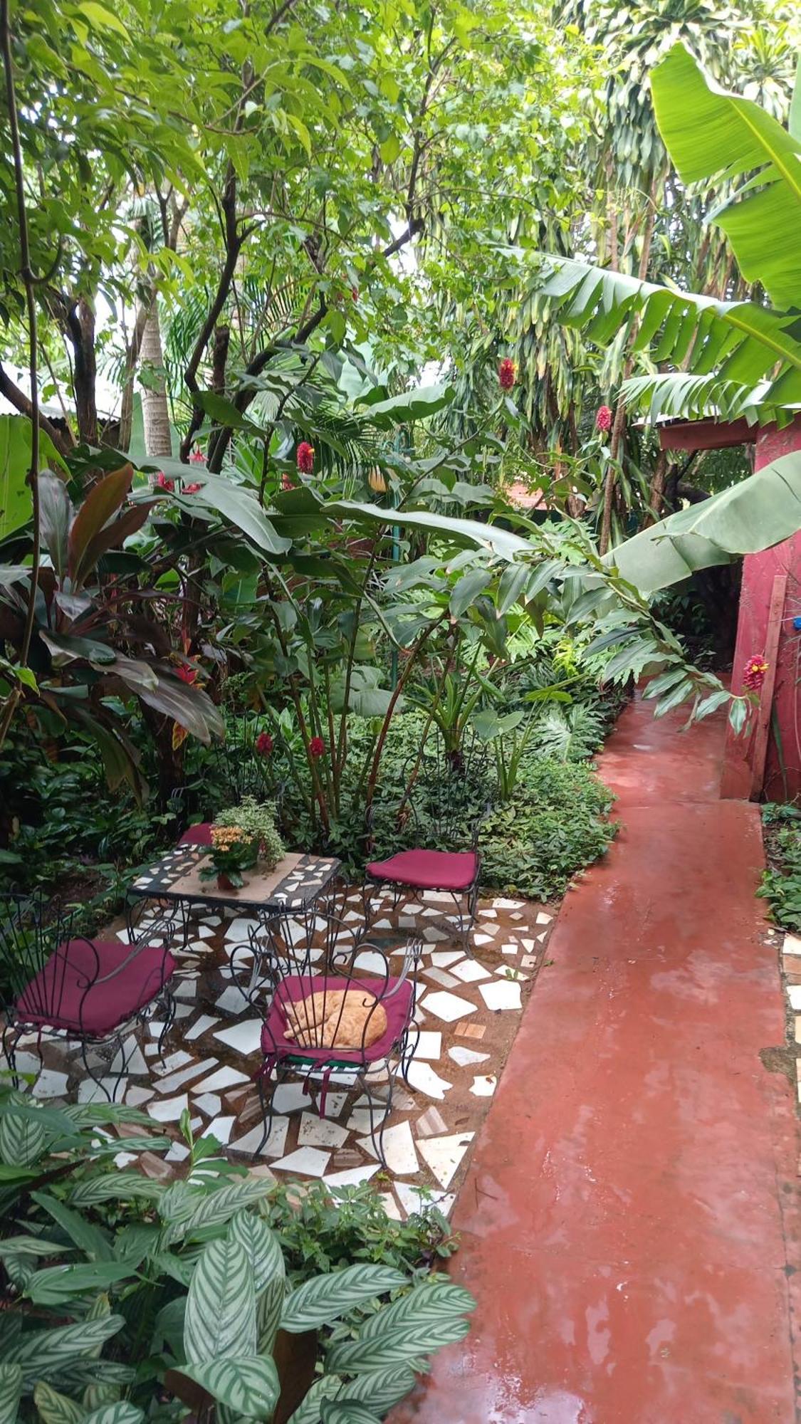 Posada María Iguazú Puerto Iguazú Exterior foto