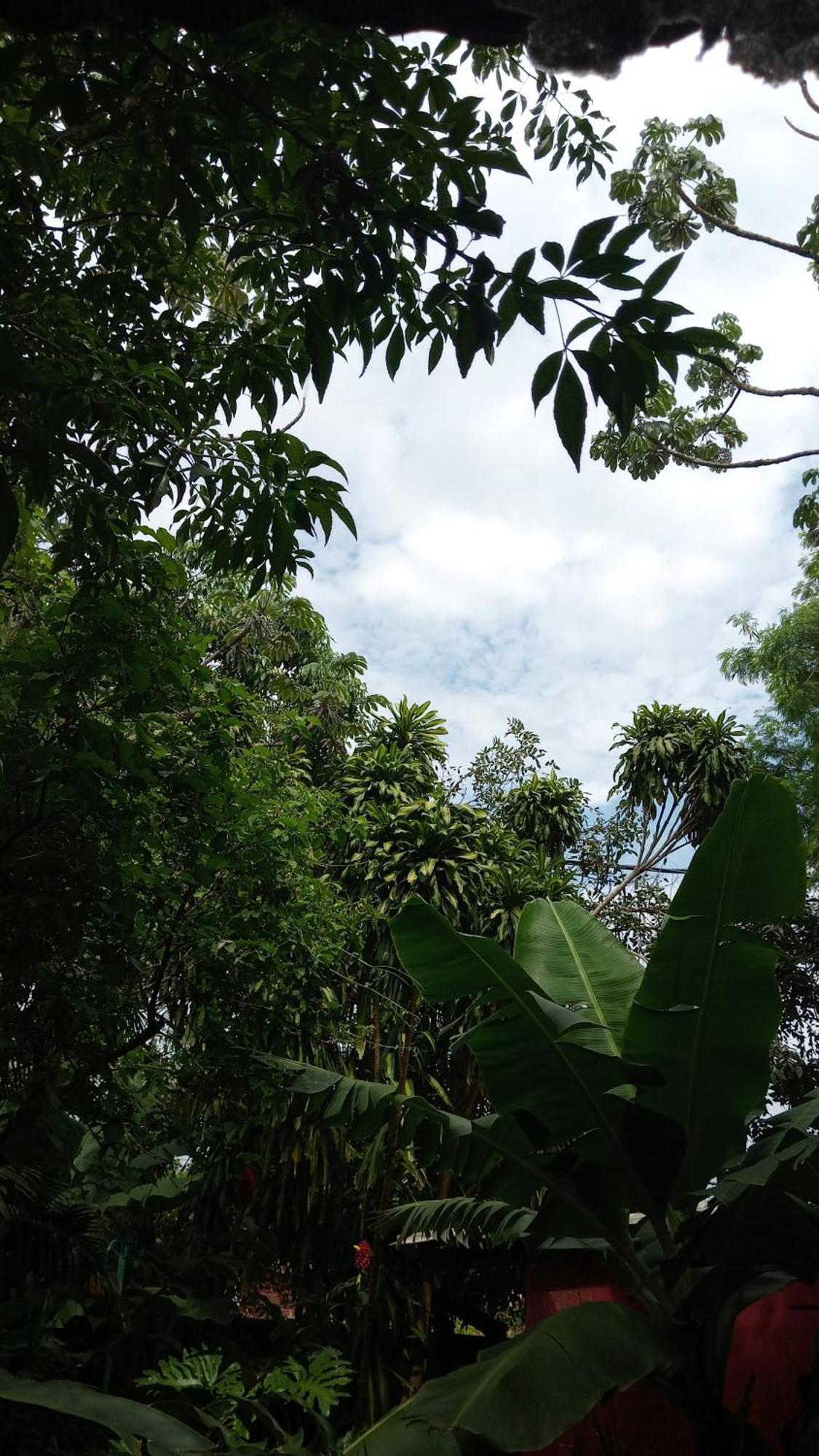 Posada María Iguazú Puerto Iguazú Exterior foto