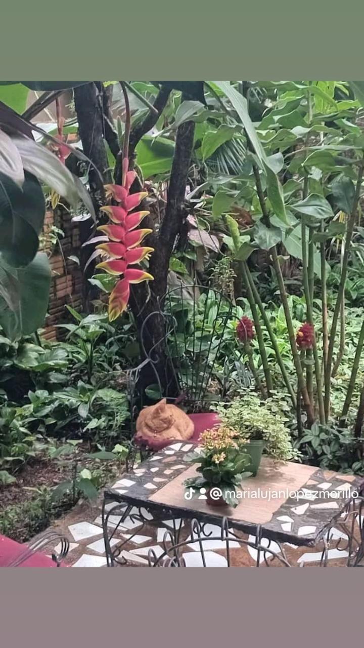 Posada María Iguazú Puerto Iguazú Exterior foto