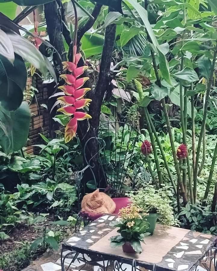 Posada María Iguazú Puerto Iguazú Exterior foto