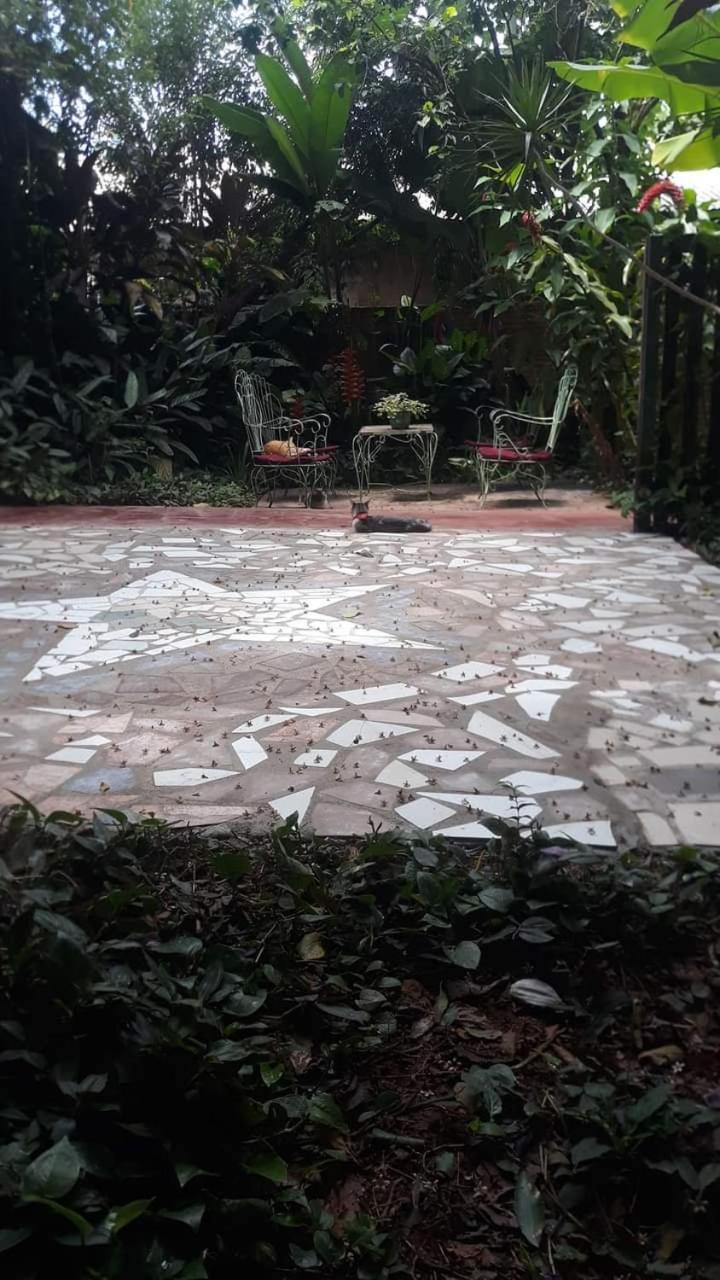Posada María Iguazú Puerto Iguazú Exterior foto